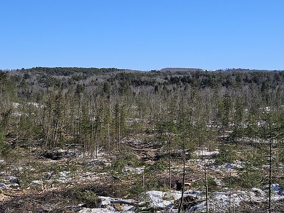 2nd image of M10 L25 Cahoon Road