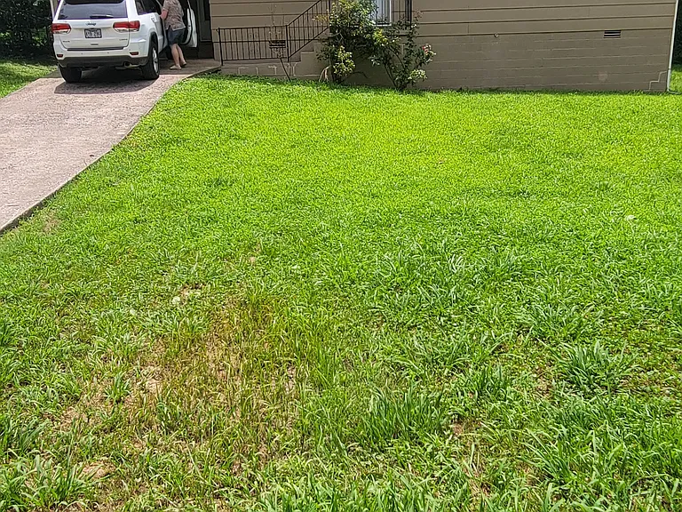 83 Gip Annie Rd — Photo 10