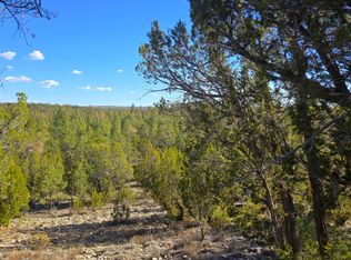 2947 E Lookout Ln, Overgaard, AZ 85933