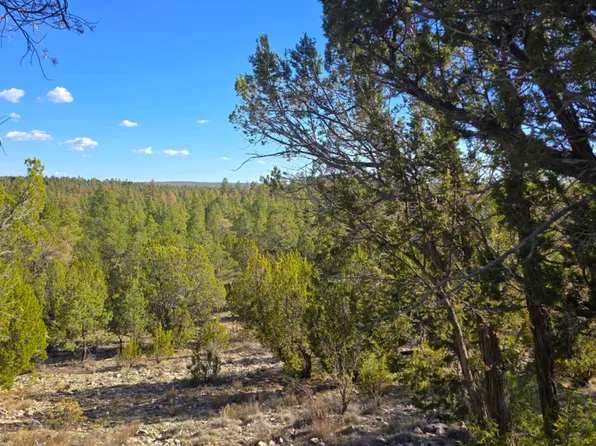 2947 E Lookout Ln, Overgaard, AZ 85933