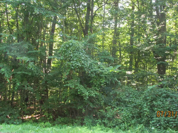 005 Strevy Lane, Amsterdam, NY 12010