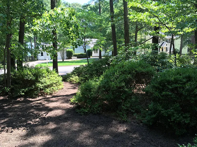View from front porch