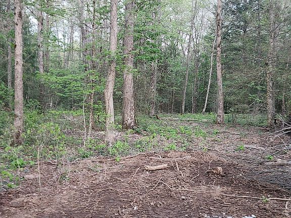 5th image of 1 Newton Rd
