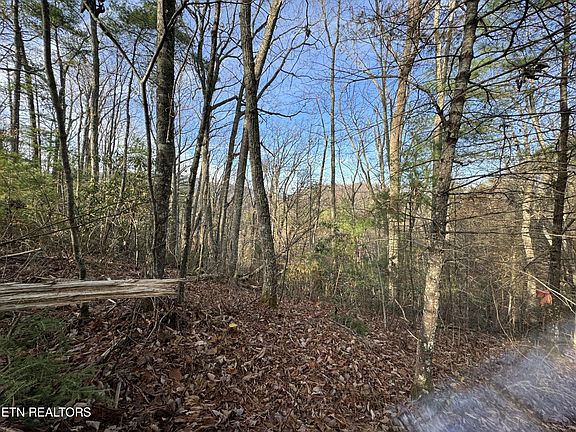 3rd image of 0 Bible Way Lot 49