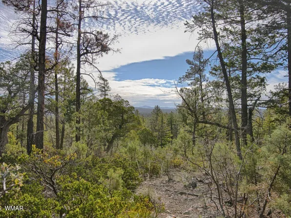 3350 W Rim Rd Parcel 1, Lakeside, AZ 85929