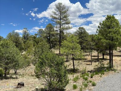 3337 Sawmill Ridge Loop, Heber, AZ, 85928