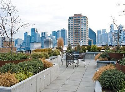 Mosler's green roof deck