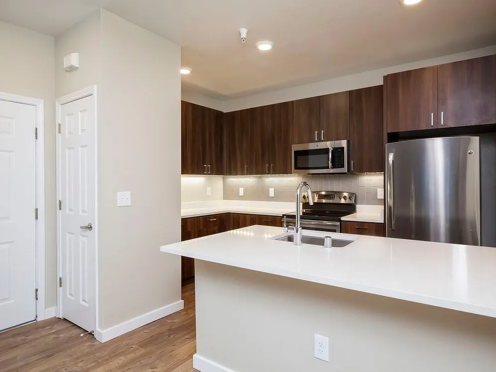 Premier Collection Kitchen with Quartz Countertops Walnut Cabinetry and Stainless Appliances - Avalon Walnut Ridge