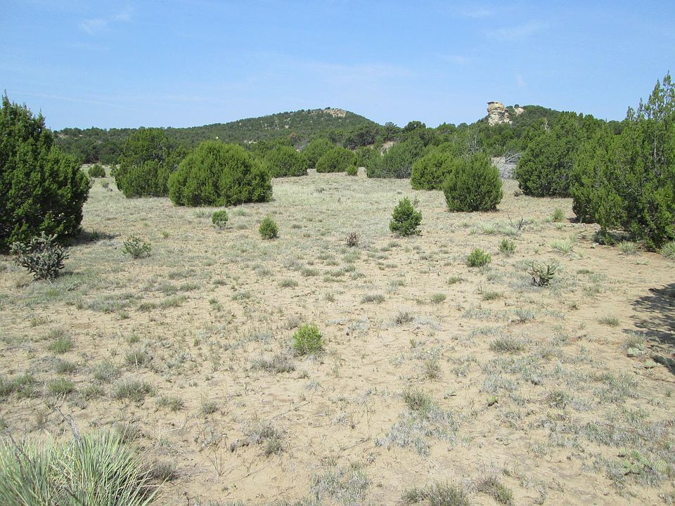 1st image of 6 Twenty Acres Tract