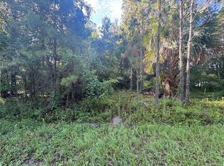 Sequoia Loop Dr LOT 38, Ocklawaha, FL 32179