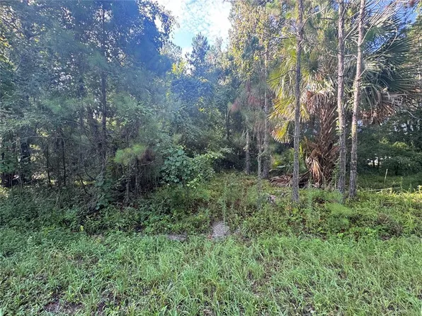 Sequoia Loop Dr Lot 38, Ocklawaha, FL 32179