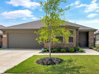 16637 Friesland Ln, Justin, TX, 76247