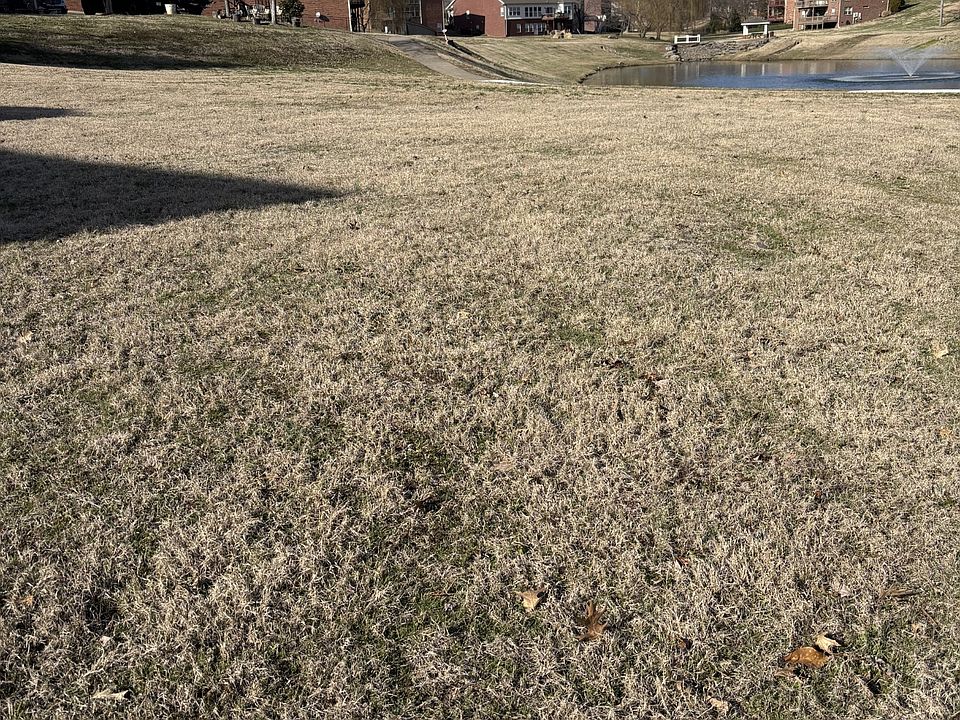 2nd image of 127 Caudill Dr