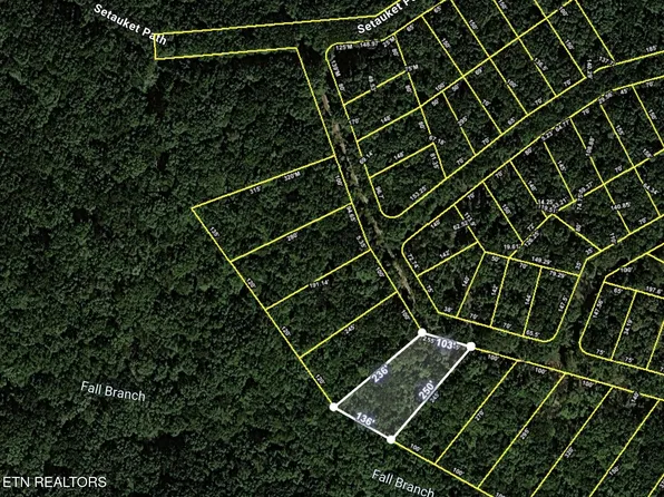 Blackfoot Trl, Crab Orchard, TN 37723