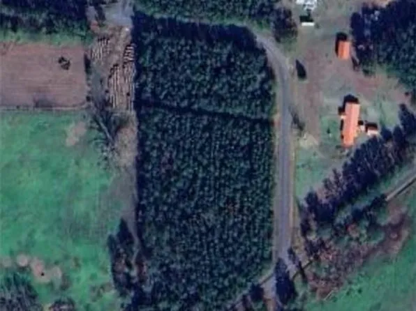 0 Bart Young Rd, Merryville, LA 70653