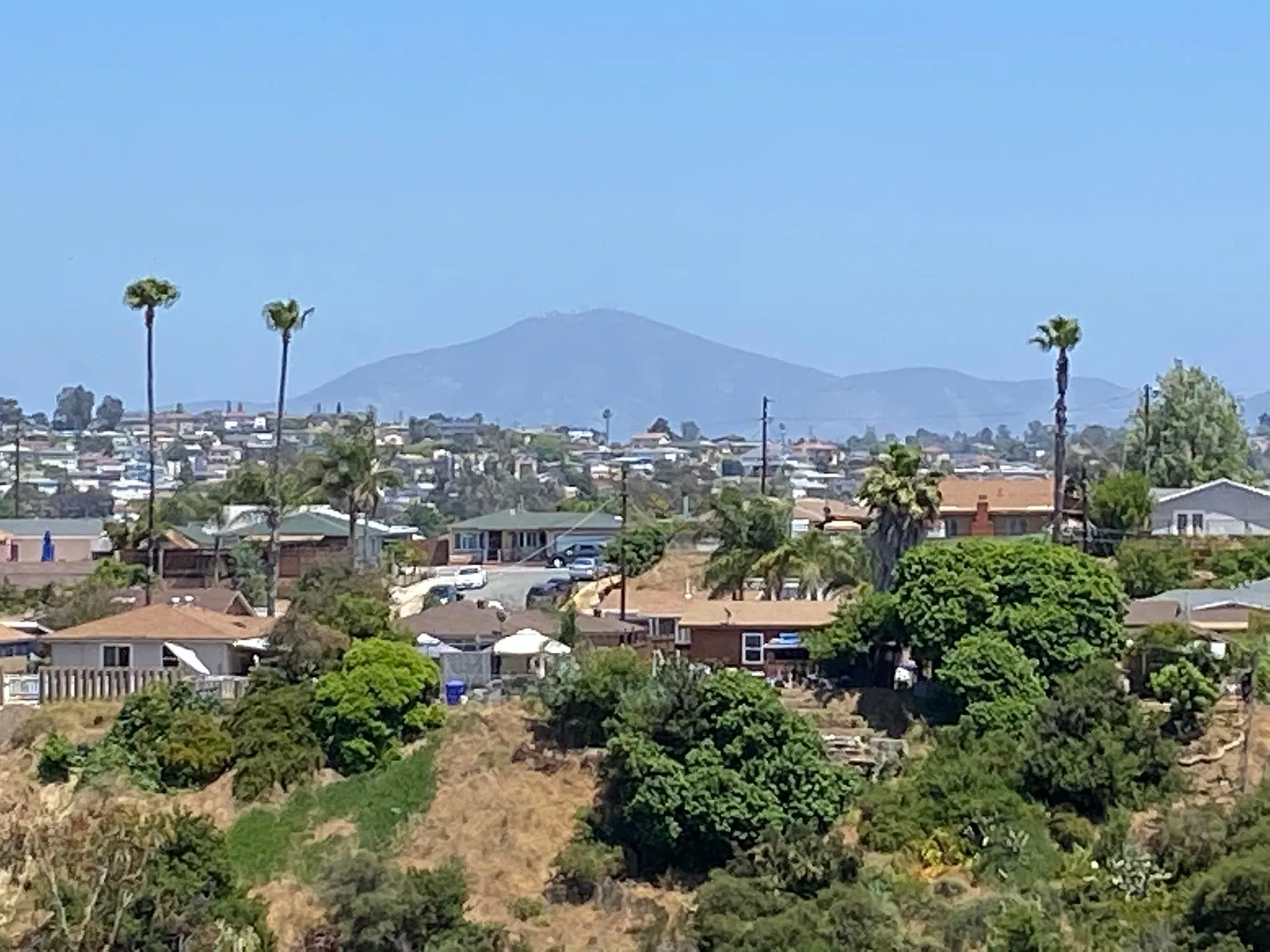 2813 Menlo Ave — Photo 3