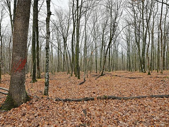 2nd image of 80 acres County Highway C