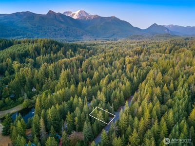 109 Big Creek Road, Ashford, WA, 98304