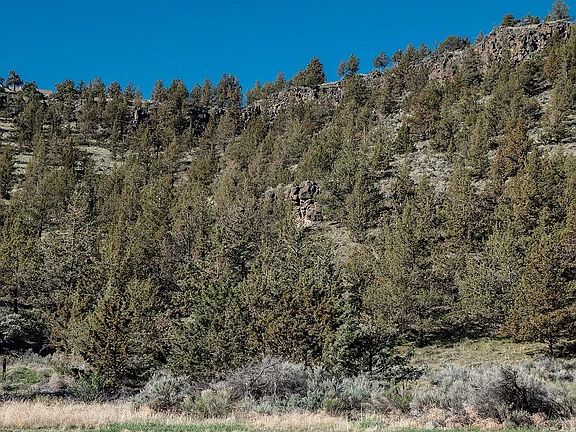 3rd image of SW Horny Hollow Trl