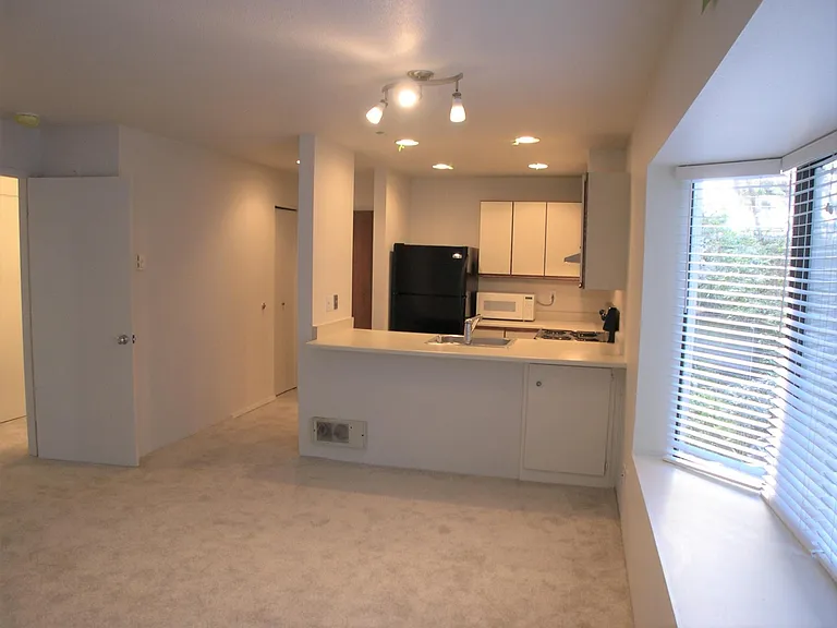 211 Summit Ave E #215 — Photo 10