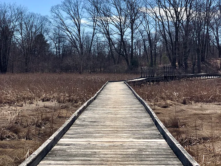 Greenbelt pathway accessible from condo. - 3 minute walk