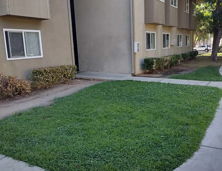 Canyon Crest — Photo 4