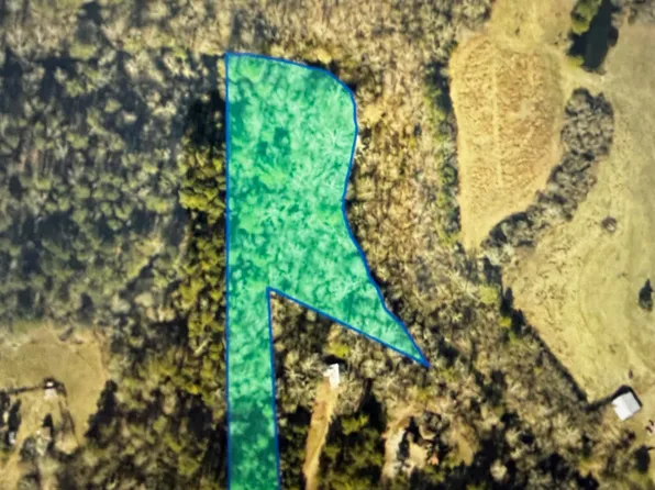 0 County Road 1728, Holly Pond, AL 35083