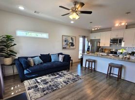 2704 Sam Wilson St, Houston, TX