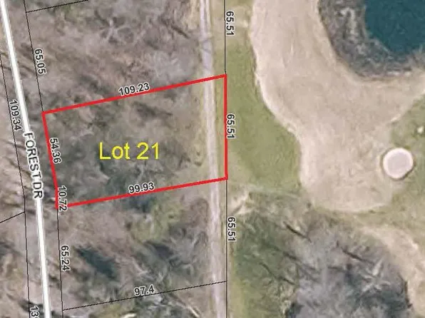 21 Forest Dr, Mackinac Island, MI 49757