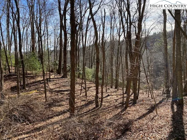 tbd Chestnut Drive, West Jefferson, NC 28694