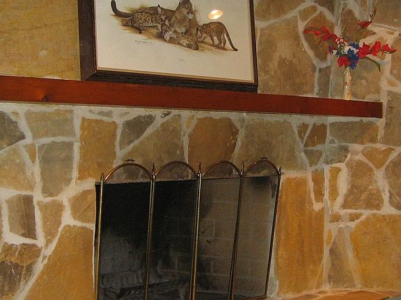 stone fireplace(wood,gas)