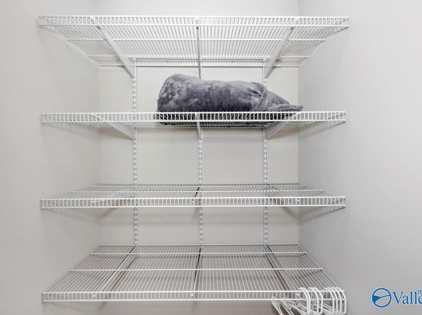 huntsville-alabama-92152030 picture