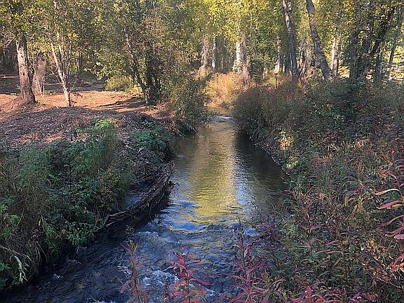 Wasilla Creek  