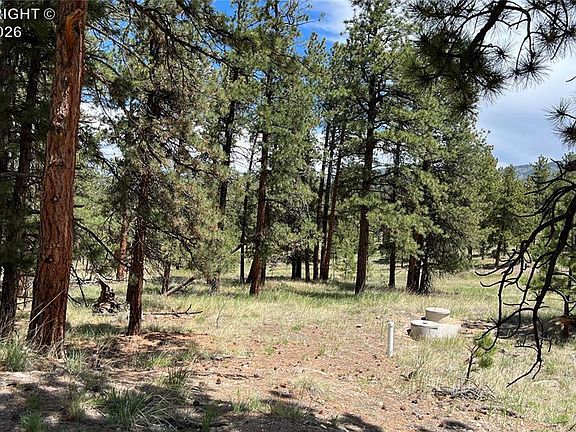 5th image of 207 Little Bear Dr