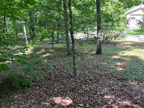 4th image of 1206 Pilleaux Dr