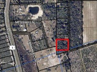 0 Laurel Oak Ave, Mims, FL 32754