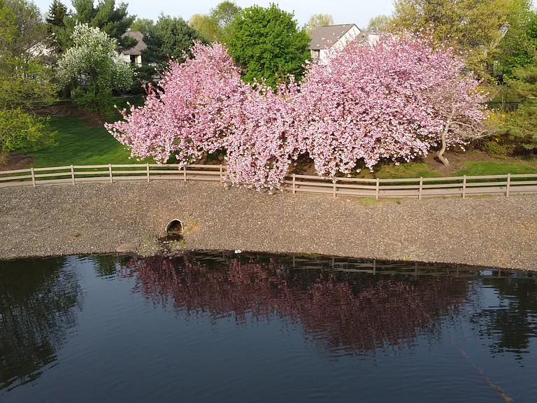 Sycamore Ct — Photo 35