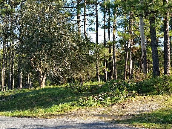 2nd image of 410 Ponderosa Dr