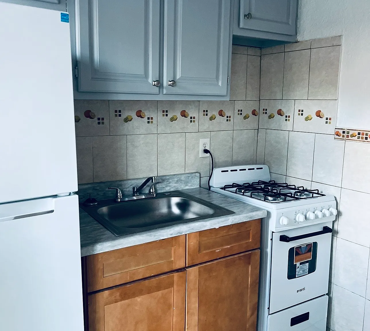 1 bed, 550 sqft, $900 — Photo 4
