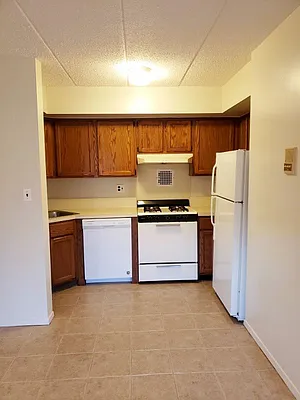 Rented by Voro, LLC | media 7