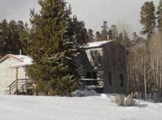 570 County Road 465 Rd, Grand Lake, CO 80447