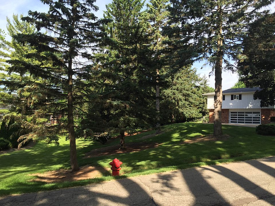 Impressive Half Acre Lot