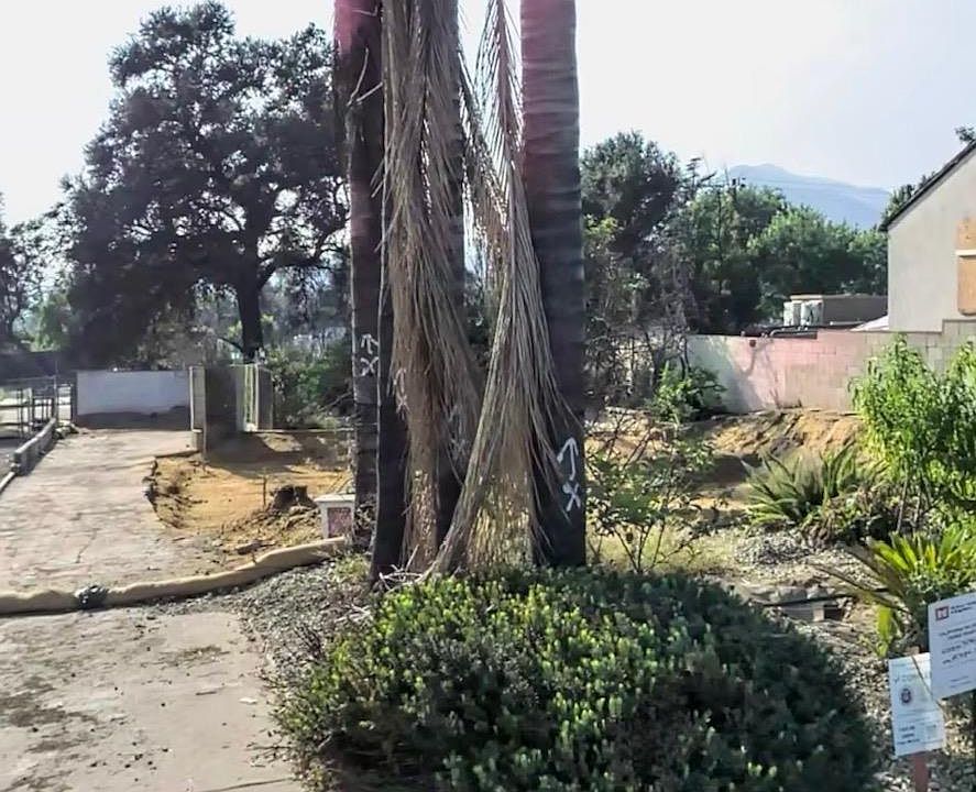 1st image of 3035 N Olive Ave