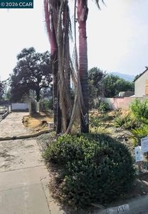 3035 N Olive Ave, Altadena, CA, 91001