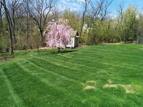 Backyard and shed