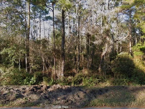 4220 Helena St, Hastings, FL 32145