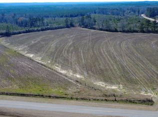 22 County Road 223, New Brockton, AL 36351