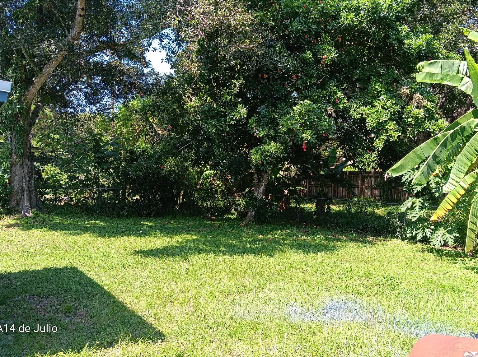 4 bed, 2036 sqft, $2,700 — Photo 4