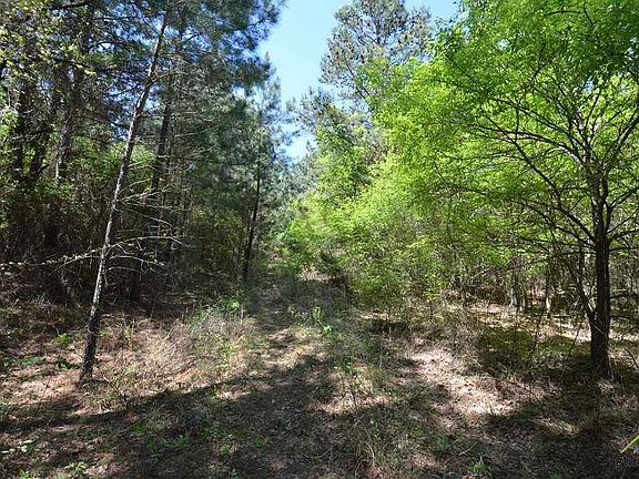5th image of 19869 County Road 4130
