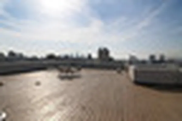 Rented by City View Living | media 107